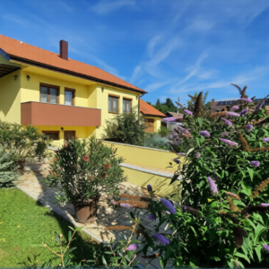 <b>143 m2</b> <br>Fel&uacute;j&iacute;tott csal&aacute;di h&aacute;z terasszal Zalacs&aacute;ny csendes r&eacute;sz&eacute;n